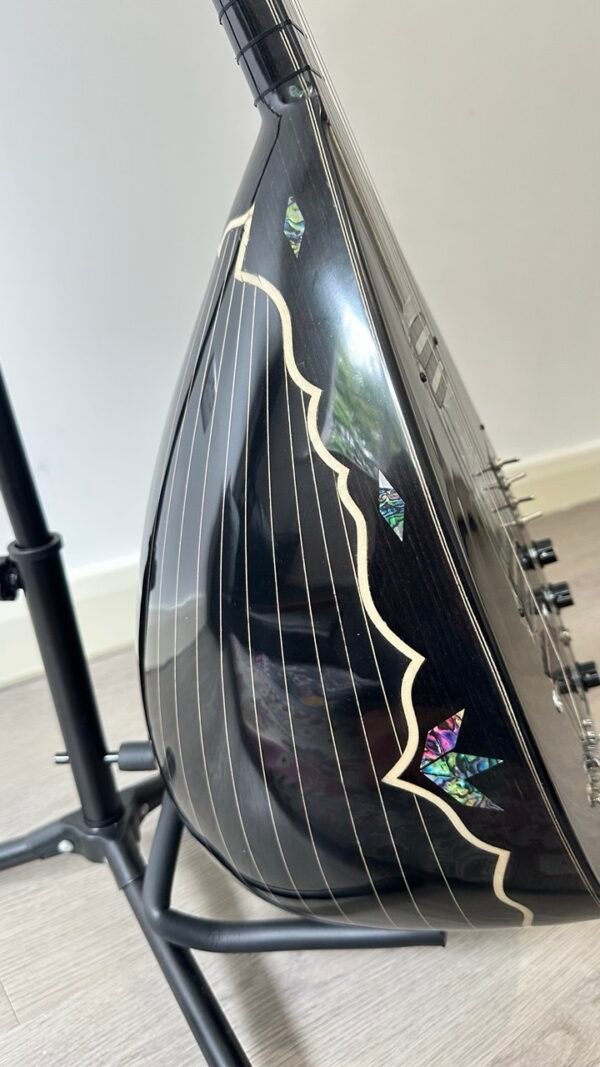 Turkish, Kurdish, Electric and Electro Saz - Image 4