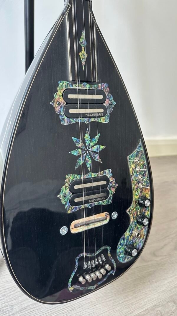 Turkish, Kurdish, Electric and Electro Saz - Image 8