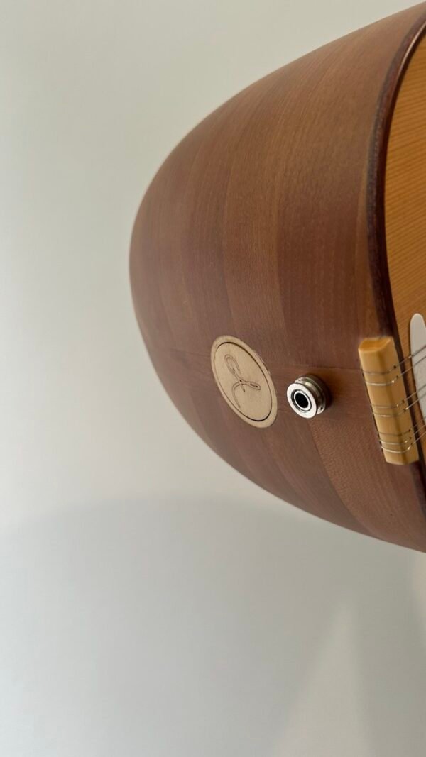 Turkish Kurdish normal and electric electro  divan, diwan saz - Image 6