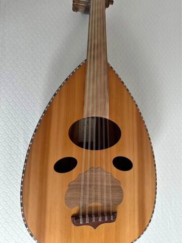 Stringed instruments