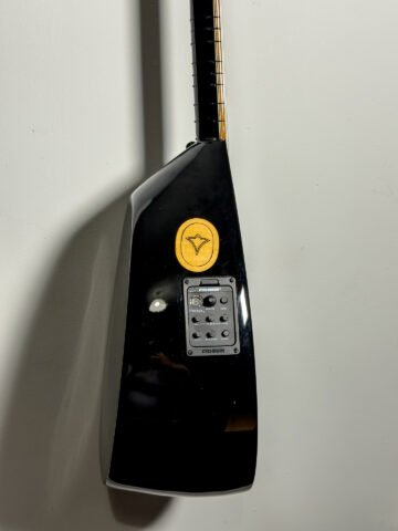 Diyar Professional Stage & Concert Long-Neck Saz (Fishman Presys+)