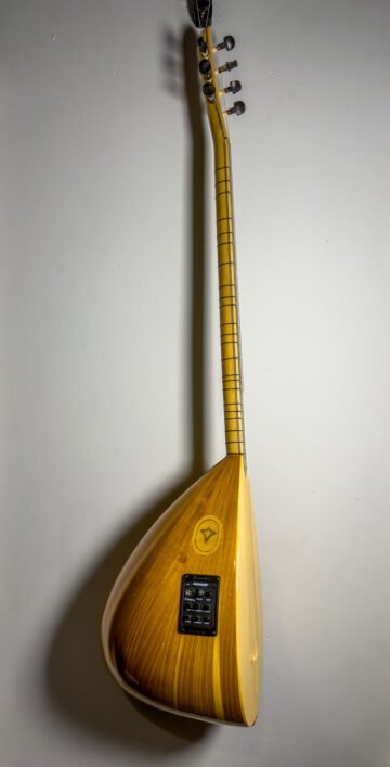 Diyar Professional Long-Neck Electro-Acoustic Saz (Fishman Presys+ Preamp)
