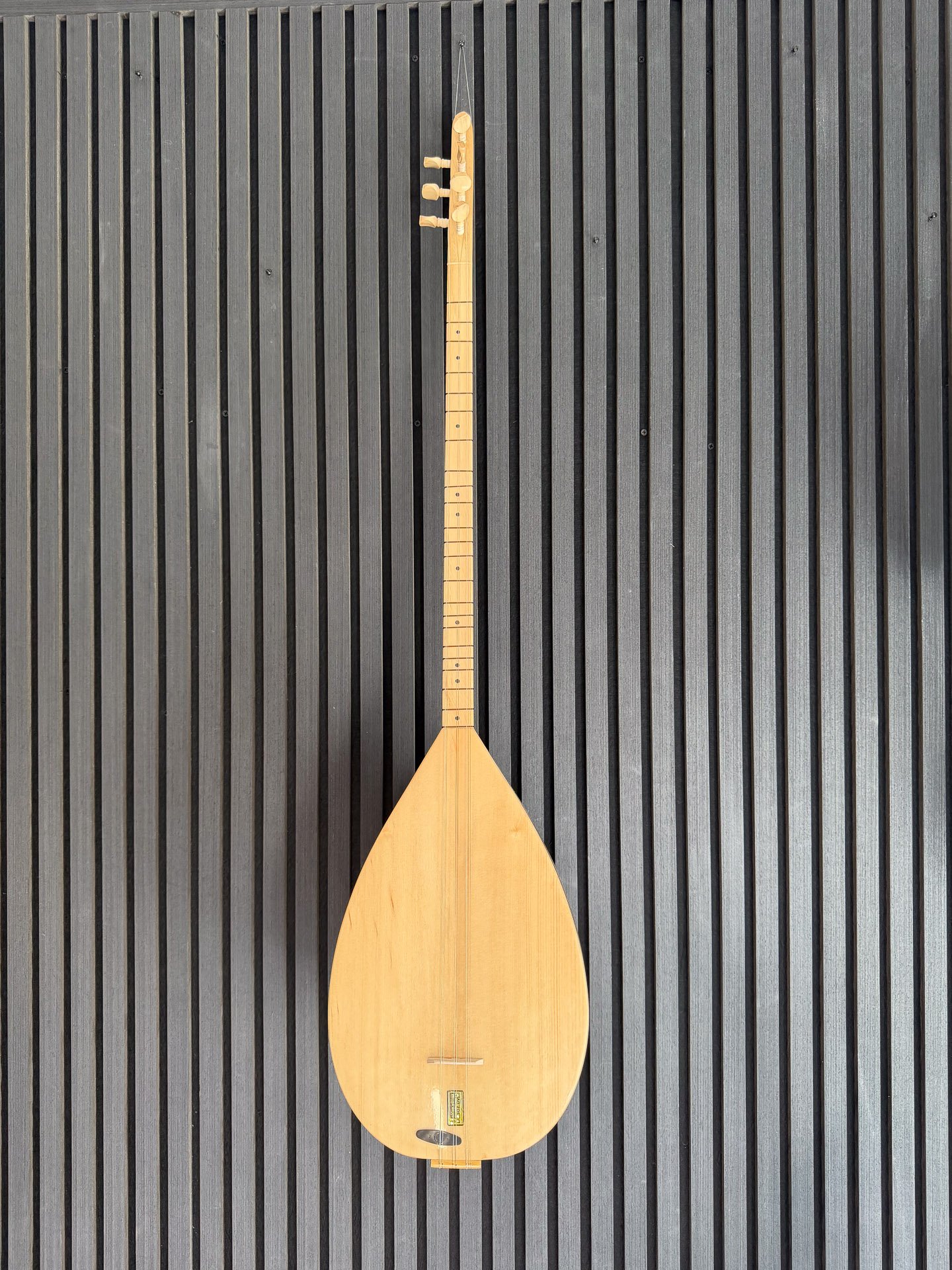 Oktay Yilmaz Long Neck Saz