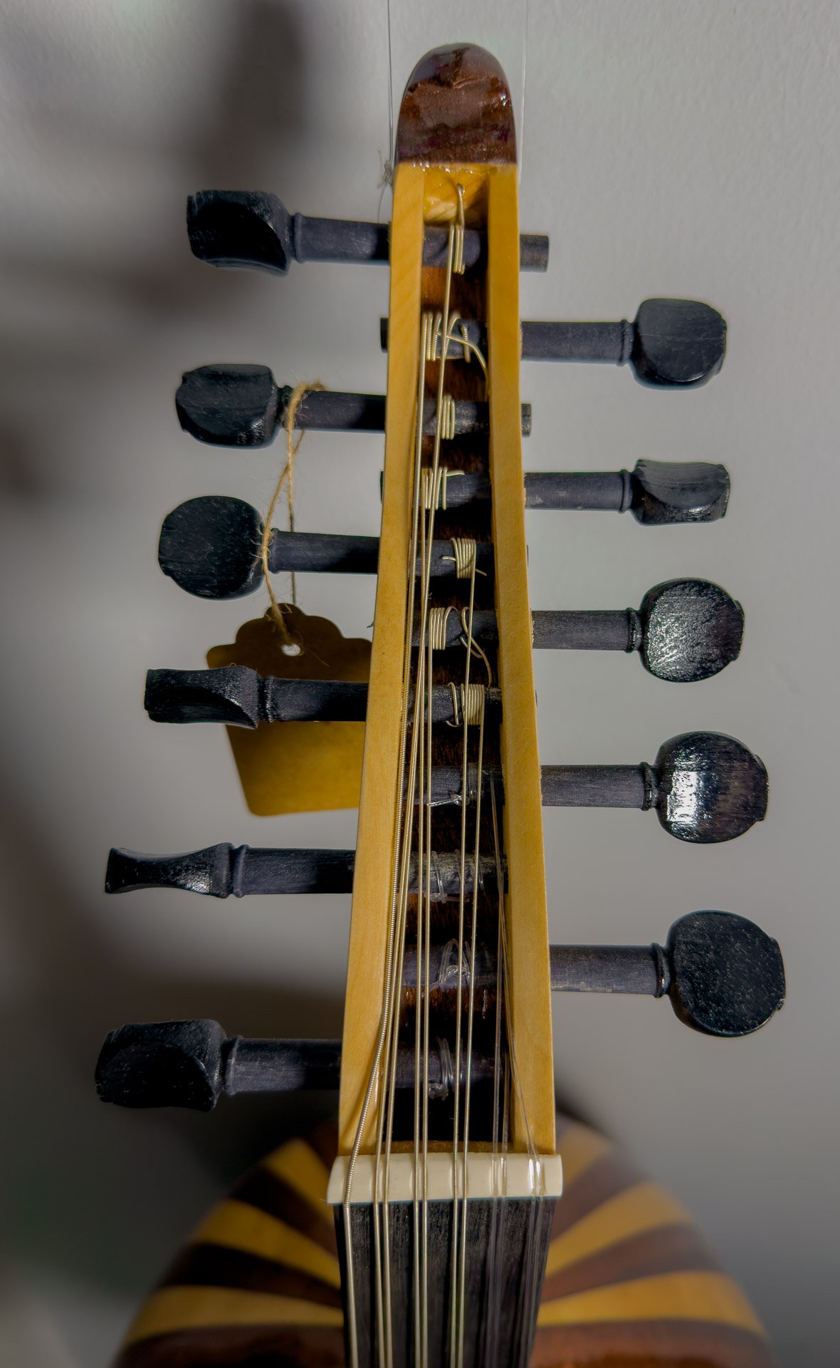 Turkish Oud